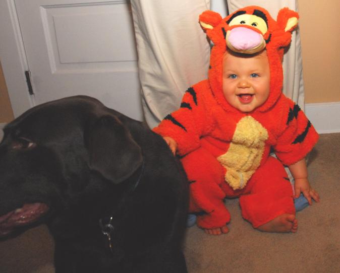 Name:  tigger.JPG
Views: 1040
Size:  57.7 KB