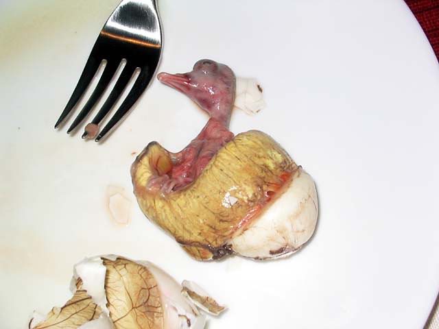 Name:  balut.jpg
Views: 1298
Size:  31.7 KB