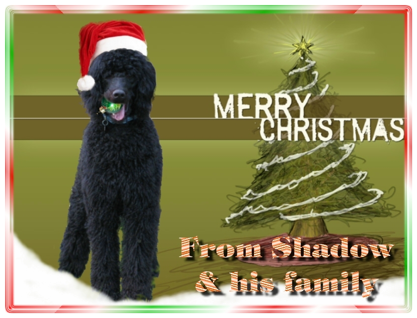 Name:  shadow-christmas-card-3.jpg
Views: 39345
Size:  291.5 KB