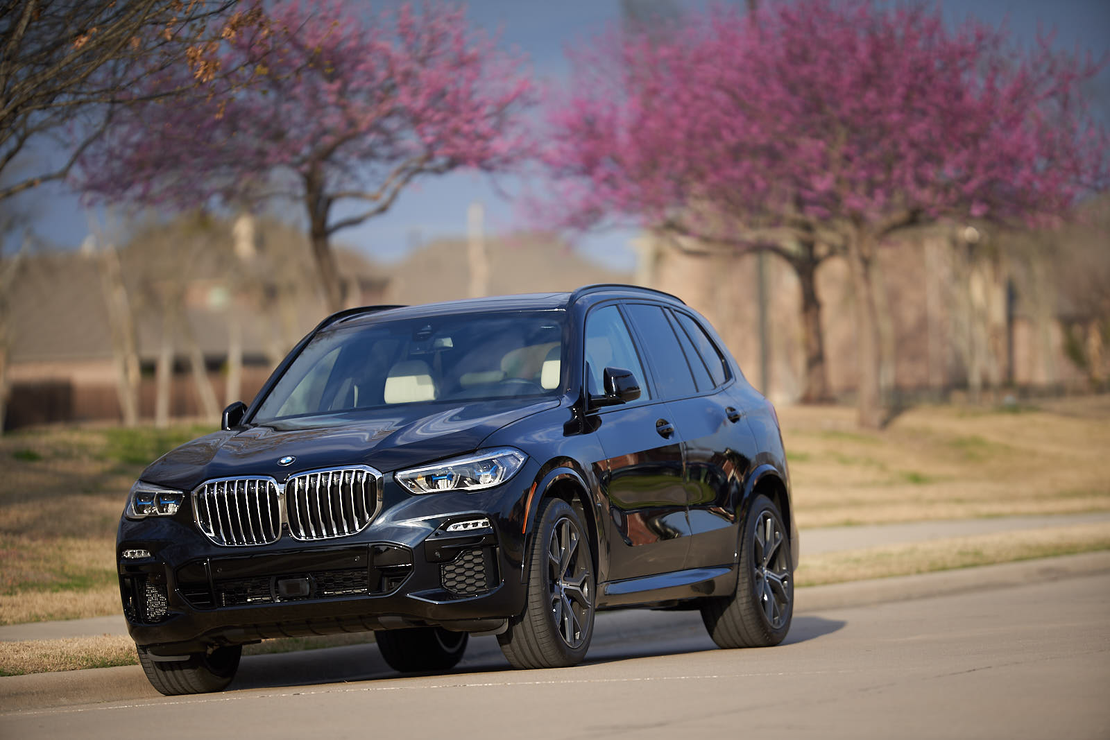 Name:  2019_BMW_X5_xDrive_ 4.jpg
Views: 5676
Size:  190.6 KB