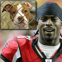 Name:  20070817-MichaelVick Pitbull.jpg
Views: 1593
Size:  15.3 KB