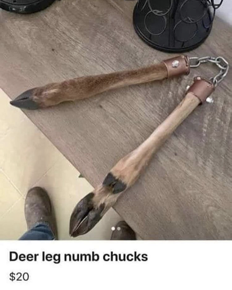 Name:  DEER.jpeg
Views: 2021
Size:  404.7 KB