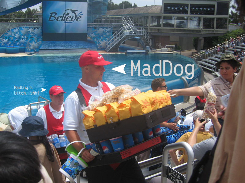 Name:  MadDog.jpg
Views: 431
Size:  384.9 KB