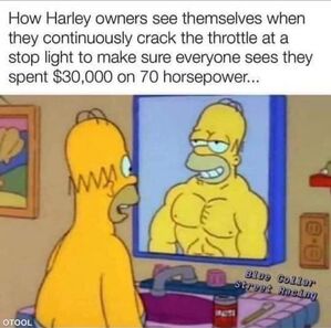 Name:  homer.jpeg
Views: 1631
Size:  35.7 KB