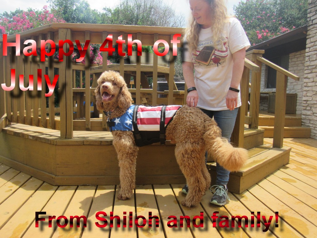 Name:  shiloh-july-4th.jpg
Views: 396
Size:  243.7 KB