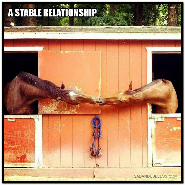 Name:  Stable..jpg
Views: 1146
Size:  117.4 KB