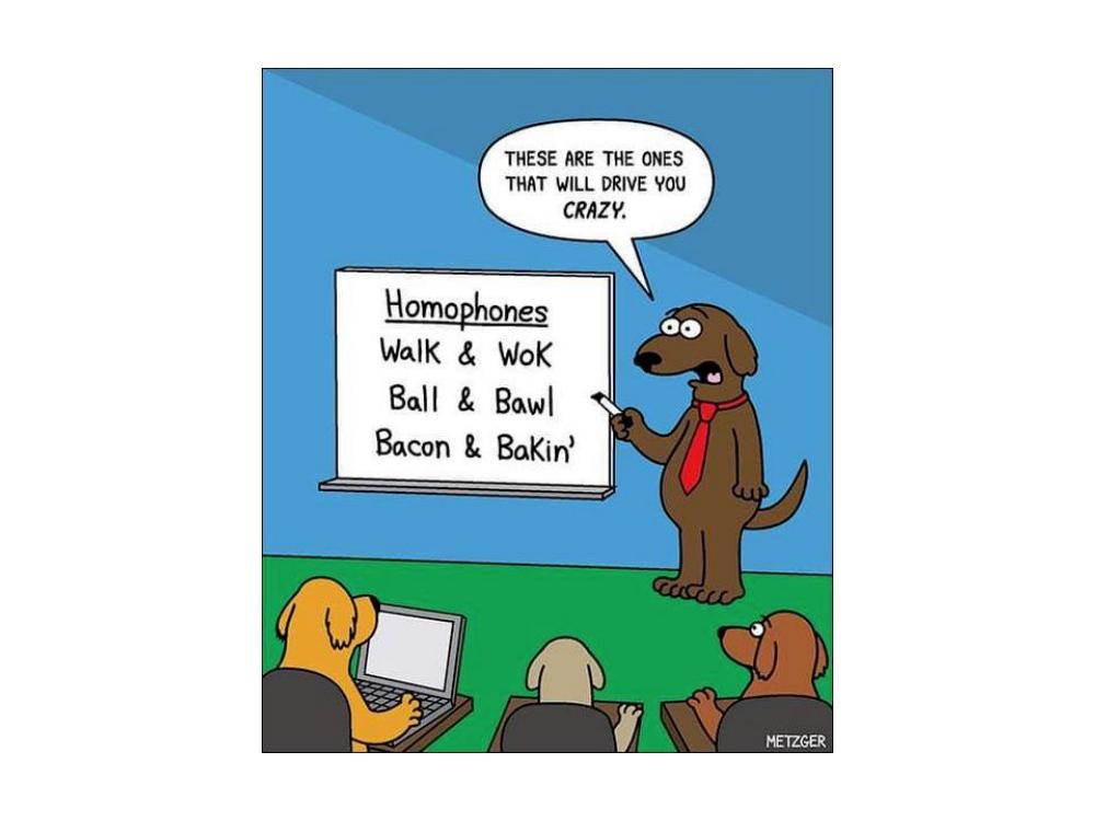 Name:  Homophones..jpg
Views: 1136
Size:  51.2 KB