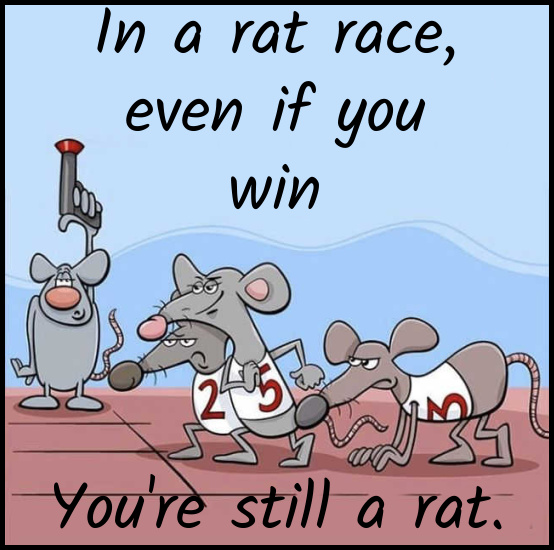 Name:  Rat Race (1).jpg
Views: 1360
Size:  121.8 KB