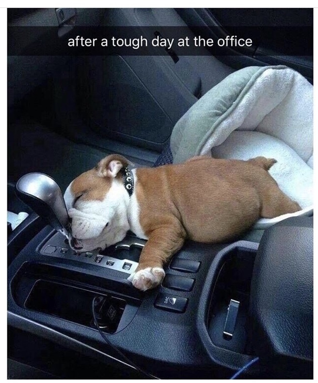 Name:  Tough Day..jpg
Views: 1461
Size:  181.9 KB