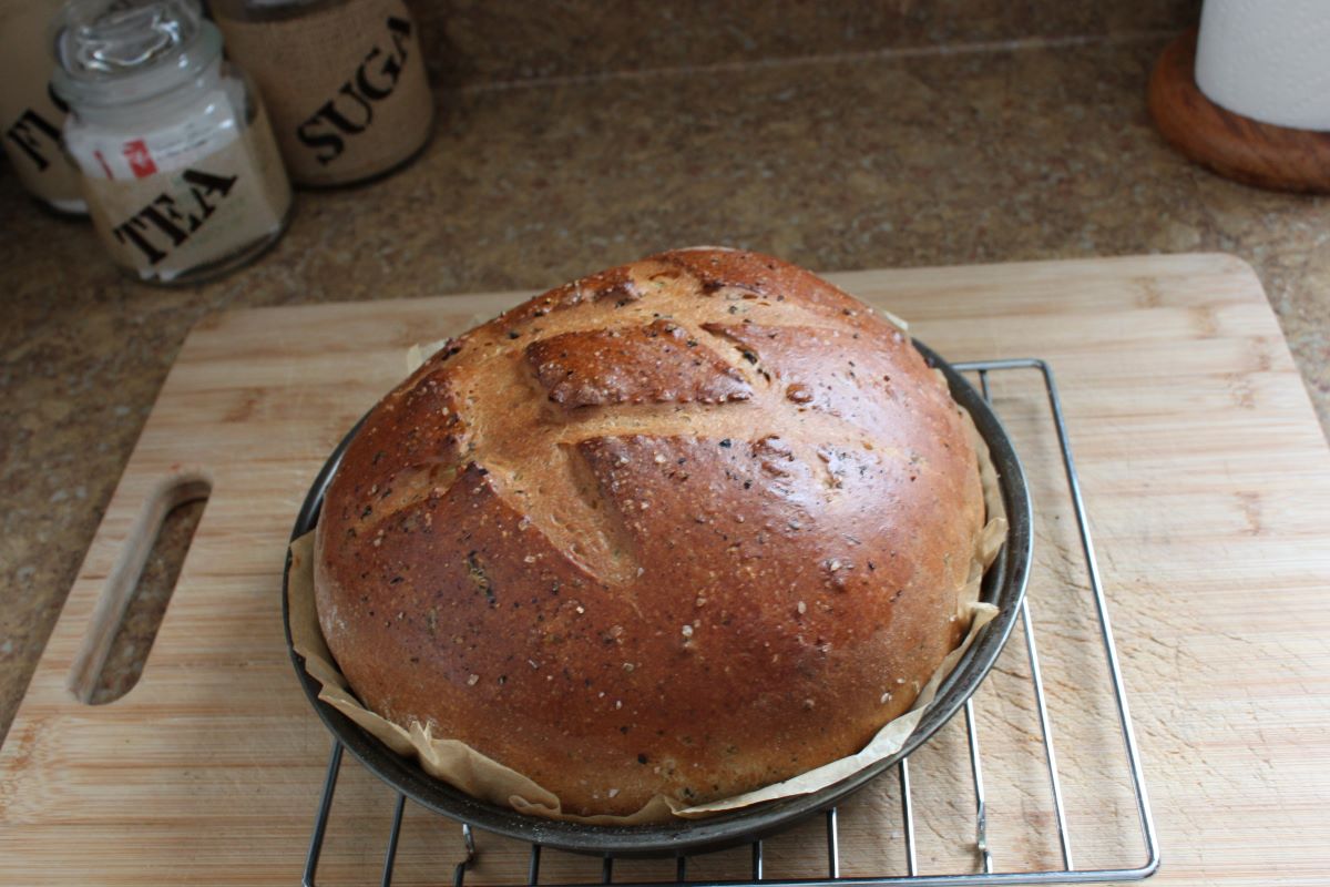 Name:  Olive bread 3.JPG
Views: 5301
Size:  130.0 KB