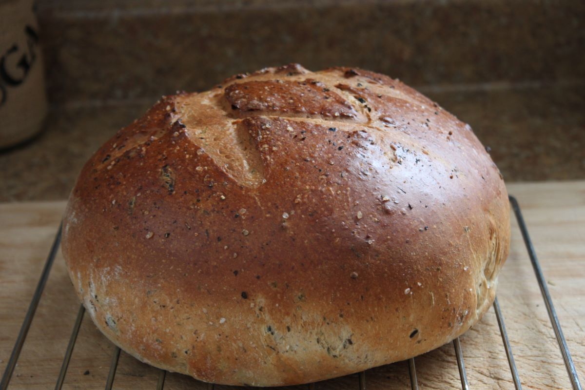 Name:  Olive bread 2.JPG
Views: 3383
Size:  118.8 KB