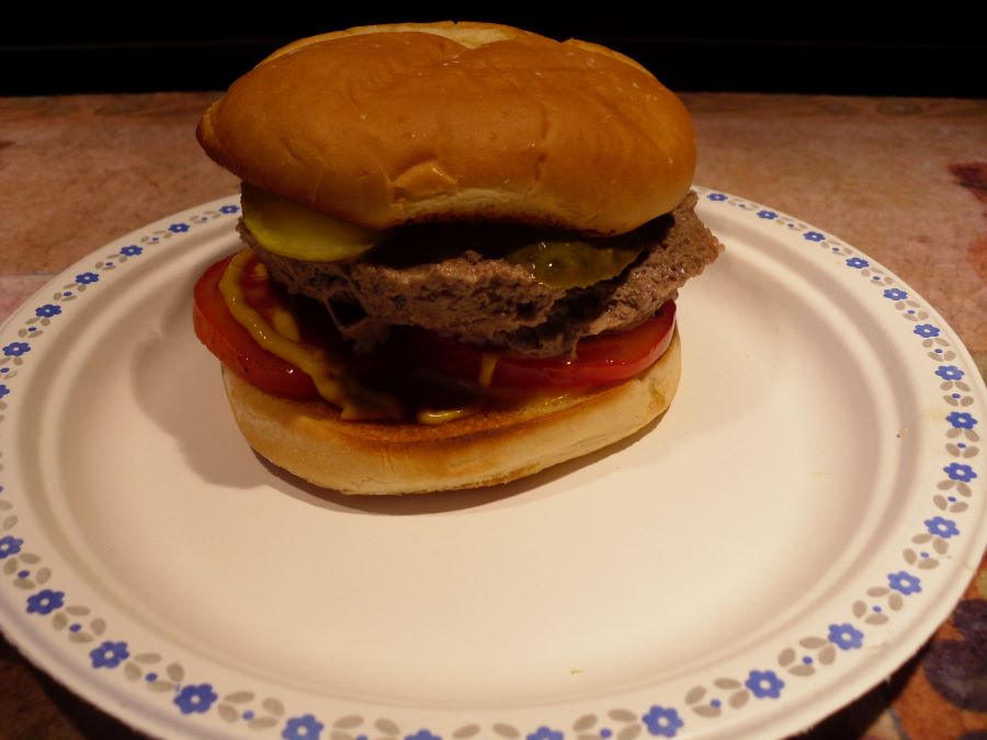 Name:  Burger.JPG
Views: 613
Size:  60.1 KB