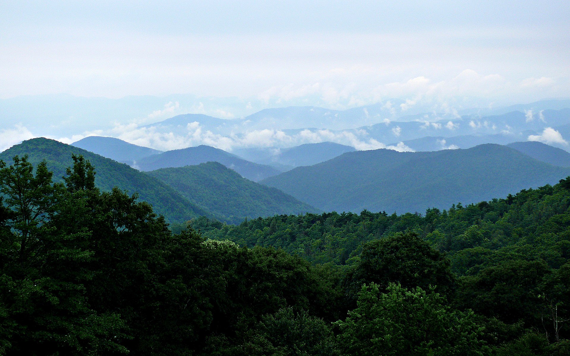 Name:  Rainy_Blue_Ridge-27527.jpg
Views: 9658
Size:  549.4 KB