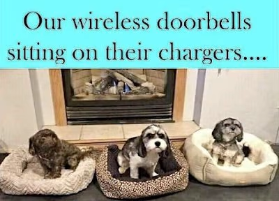 Name:  dog-doorbells.png
Views: 1283
Size:  206.9 KB