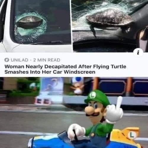 Name:  luigi.jpg
Views: 1455
Size:  45.5 KB