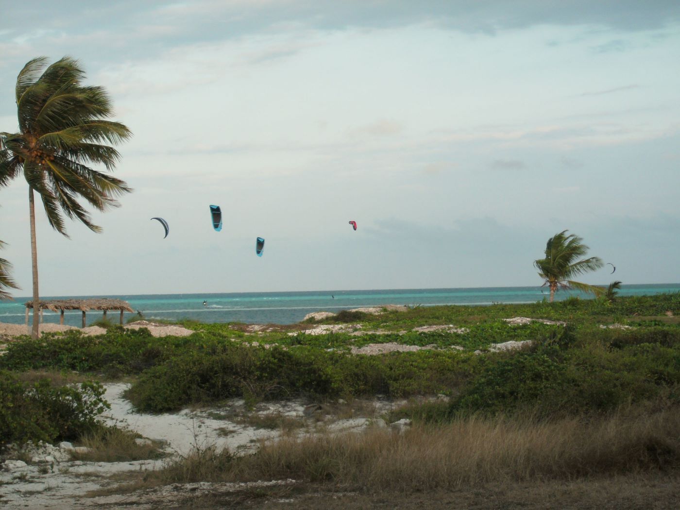 Name:  Kite Surfing.JPG
Views: 2160
Size:  161.8 KB