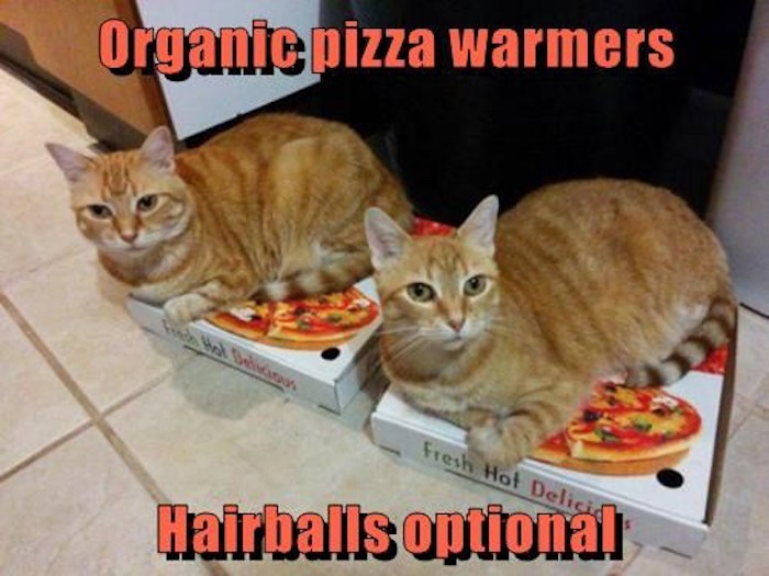 Name:  hairballs-not-optional-if-you-dont-share.jpeg
Views: 1485
Size:  77.8 KB