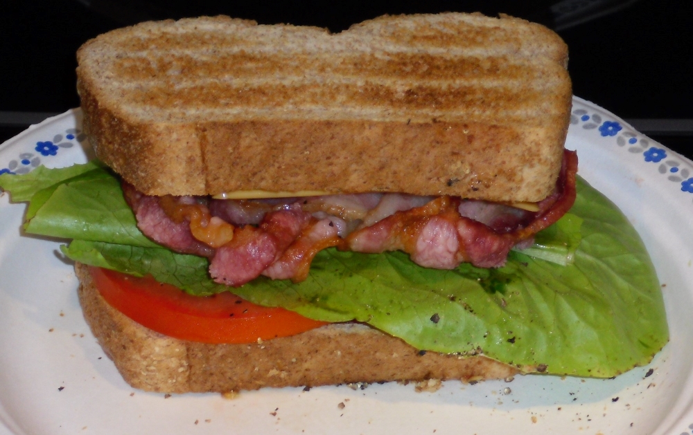 Name:  BLT.jpg
Views: 504
Size:  426.2 KB