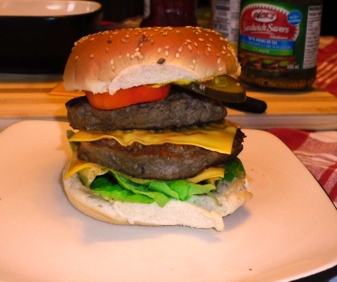 Name:  Burger..jpg
Views: 473
Size:  263.9 KB