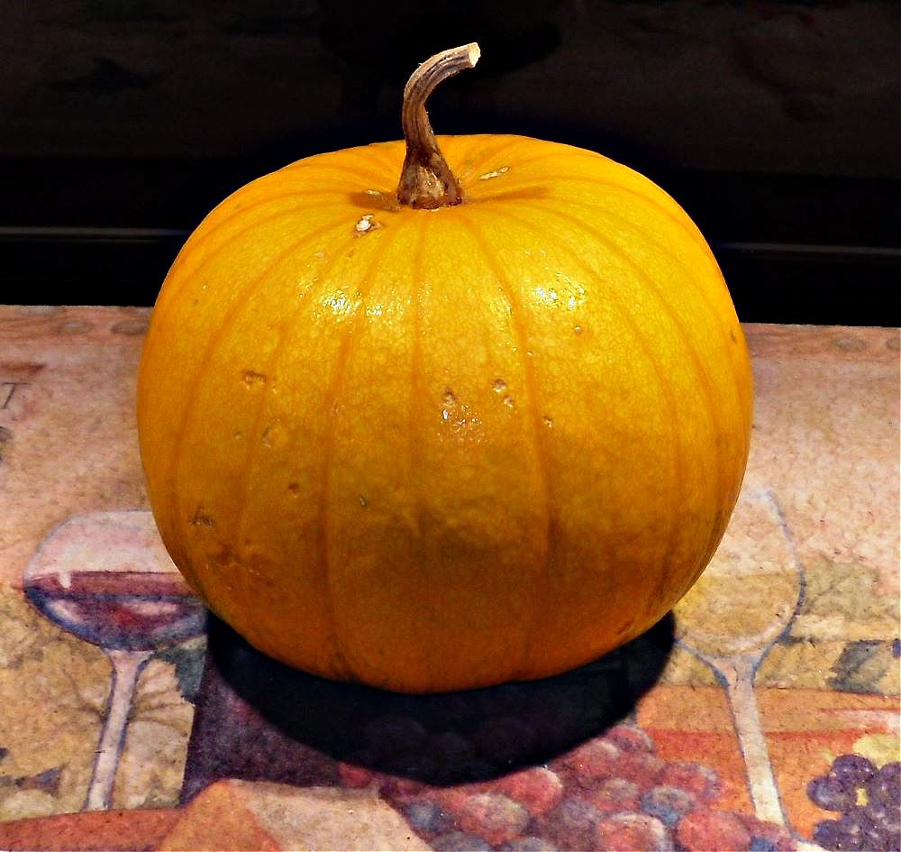 Name:  Pumpkin..jpg
Views: 413
Size:  121.4 KB