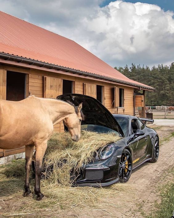 Name:  Horsepower.jpg
Views: 667
Size:  93.9 KB