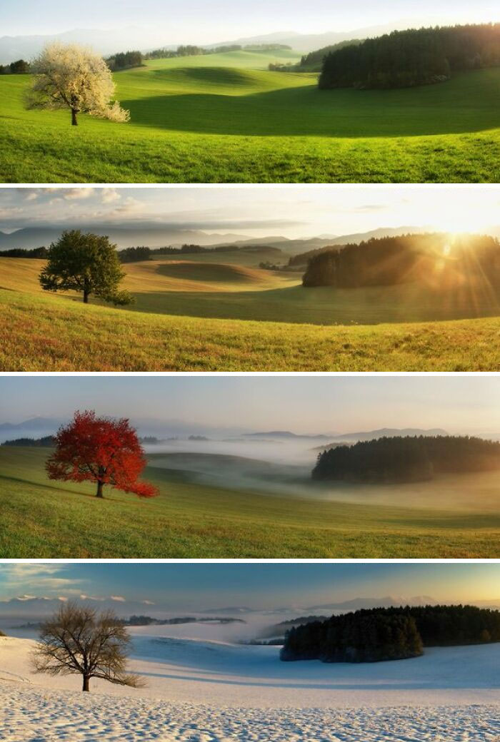 Name:  The four seasons..jpg
Views: 645
Size:  132.9 KB