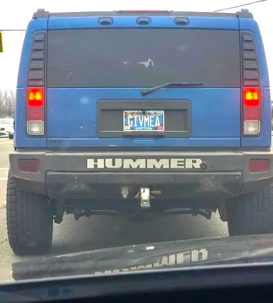 Name:  Hummer..jpg
Views: 1328
Size:  54.6 KB