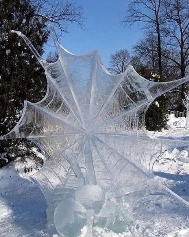 Name:  Frozen web..jpg
Views: 493
Size:  157.1 KB