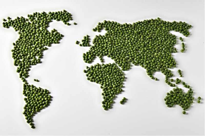 Name:  Peas..jpg
Views: 1089
Size:  191.0 KB