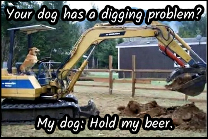 Name:  Digging. (1).jpg
Views: 1317
Size:  177.2 KB