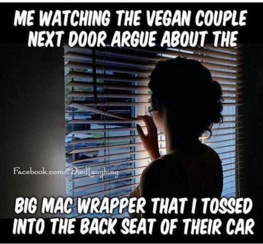 Name:  me-watching-vegan-couple-argue-big-mac-wrapped-i-tossed-back-seat-car.jpg
Views: 659
Size:  35.3 KB