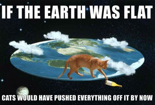 Name:  Cat_FlatEarth.png
Views: 979
Size:  301.1 KB