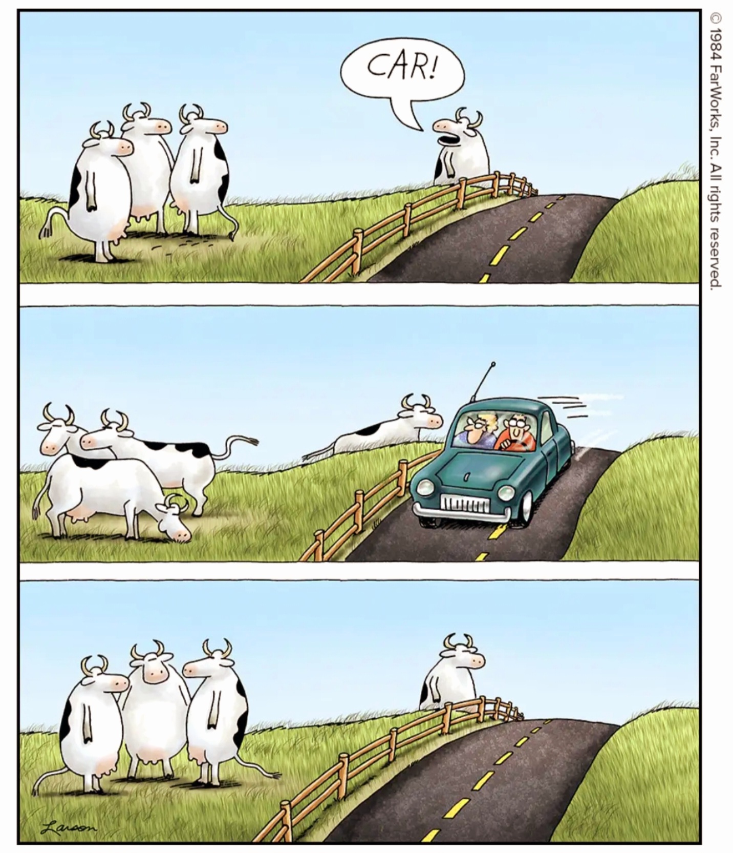 Name:  Cows_Car.jpg
Views: 872
Size:  499.5 KB