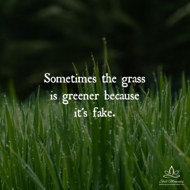 Name:  fakegrass.jpg
Views: 431
Size:  47.5 KB