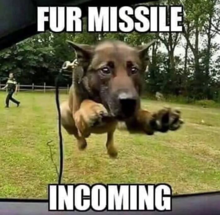 Name:  fur-missile-incoming.jpg
Views: 249
Size:  71.4 KB