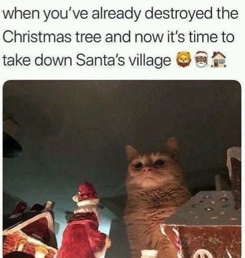 Name:  Cat_Christmas.jpg
Views: 239
Size:  77.1 KB