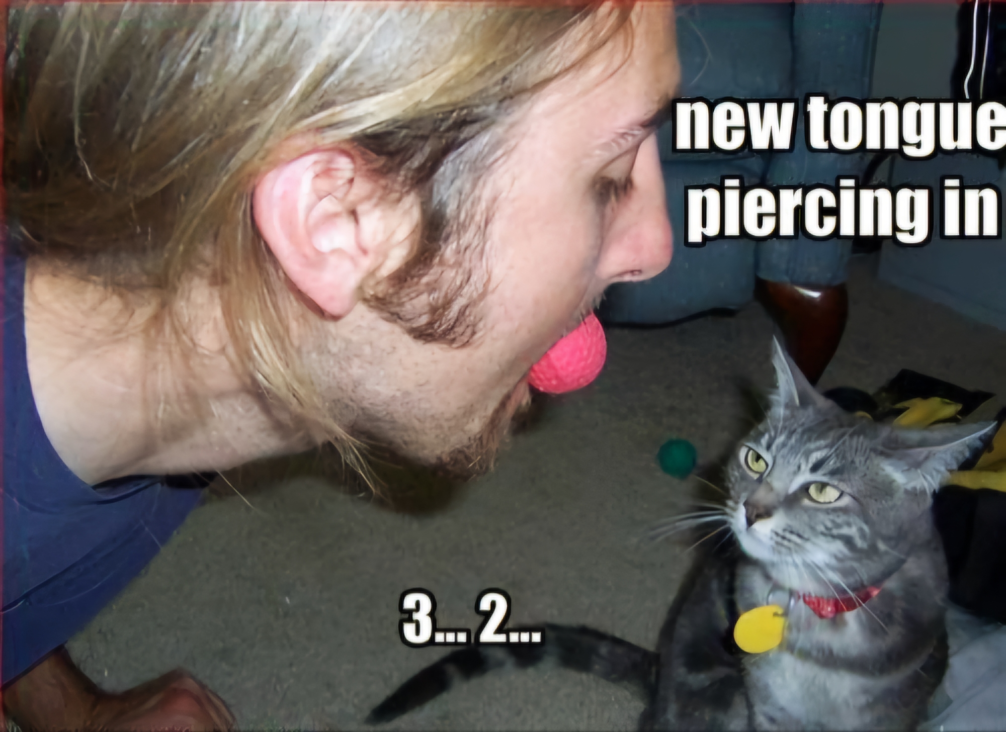 Name:  New_Tongue_Piercing.jpg
Views: 170
Size:  1.06 MB