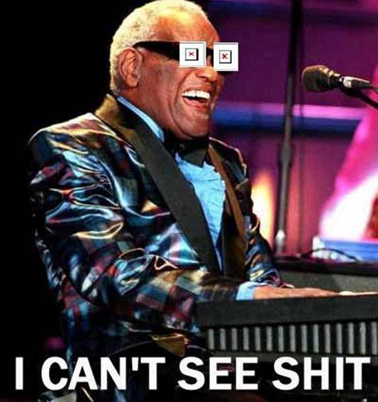 Name:  ray-charles-i-cant-see-shit.jpg
Views: 56780
Size:  41.5 KB