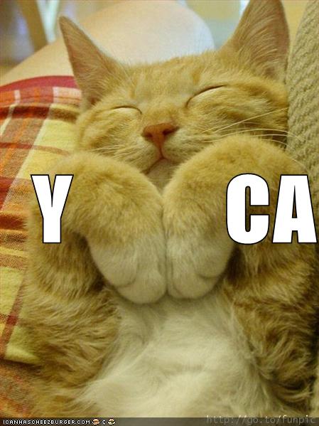 Name:  funny-pictures-ymca-cat.jpg
Views: 849
Size:  43.3 KB