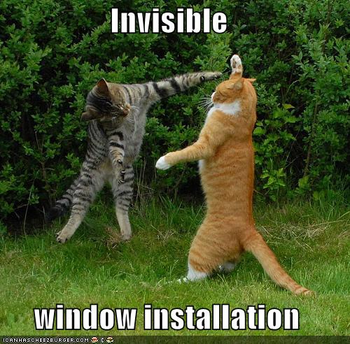 Name:  Cat-install-invisible-windows.jpg
Views: 3477
Size:  67.1 KB