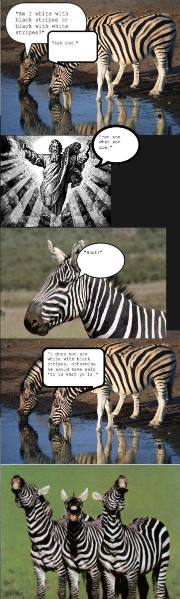 Name:  zebra.jpg
Views: 3341
Size:  98.3 KB