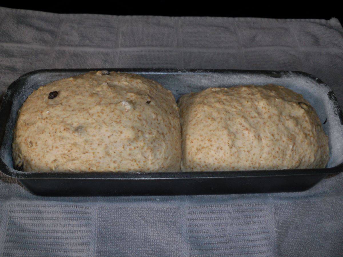 Name:  Bread.JPG
Views: 28
Size:  145.0 KB